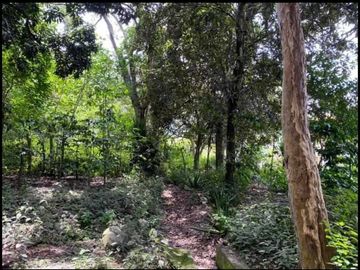 Vendo terreno en Vilcabamba