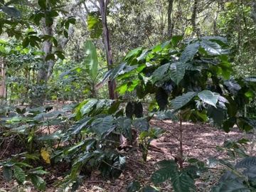 Vendo terreno en Vilcabamba