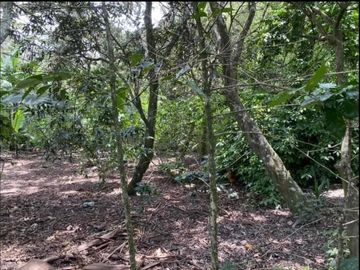 Vendo terreno en Vilcabamba