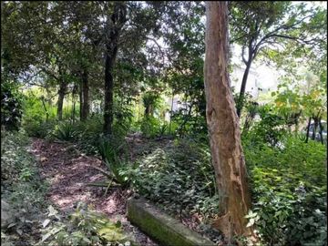 Vendo terreno en Vilcabamba
