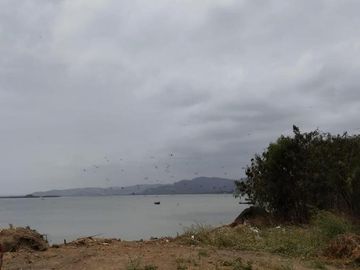 Terreno en venta Bahía de Caráquez Frente al Mar