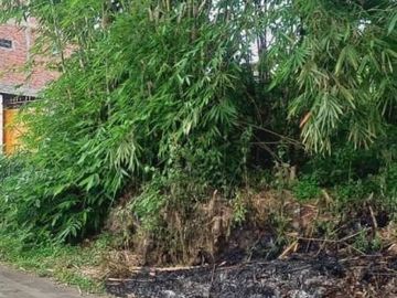Tanah pekarangan di manisrejo sambego maguwoharjo