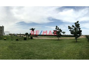 Características del Terreno:

Este fundo es un exclusivo predio de 50,000 m2 completamente cercado y adornado con sauces, buganvilias y árboles frut
