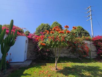 Características del Terreno:

Este fundo es un exclusivo predio de 50,000 m2 completamente cercado y adornado con sauces, buganvilias y árboles frut
