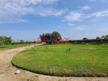 Características del Terreno:

Este fundo es un exclusivo predio de 50,000 m2 completamente cercado y adornado con sauces, buganvilias y árboles frut
