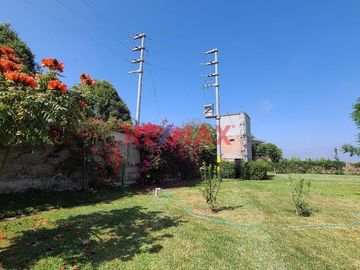 Características del Terreno:

Este fundo es un exclusivo predio de 50,000 m2 completamente cercado y adornado con sauces, buganvilias y árboles frut