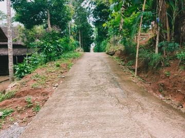 Tanah karangpandan kebun durian 28 pohon