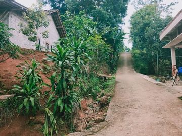 Tanah karangpandan kebun durian 28 pohon