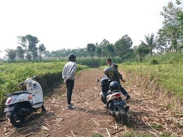 RUMAH INI DIJUAL DENGAN HARGA APROMO UNTUK HARI INI SAJA!