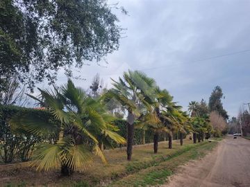Parcela en Venta en El llano Ramon Subercaseaux