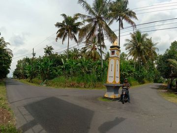 Area Kampus II UIN, Kavling Perumahan, 1 Jt-an/Meter