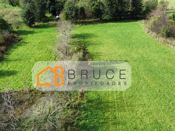 Parcela en Venta en Sector Llifen Río Calcurrupe Lago Ranco