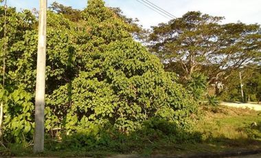 Highly Affordable 129 Sqm Lot for Sale in Greenwoods Subdivision near Talamban Cebu City