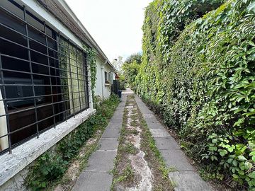 VIA REGINA / LORELEY