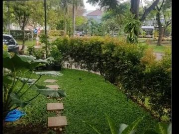Rumah Bagus Di Sektor 9 (Cpa 4331.BR)