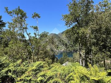 Sitio en Venta en Lago Panguipulli