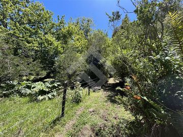 Sitio en Venta en Lago Panguipulli
