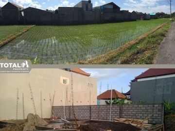 Dijual Perumahan Minimalis Ekonomis View Sawah di Pedungan