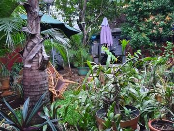 Rumah Berhalaman Luas di Veteran Bintaro, 2818