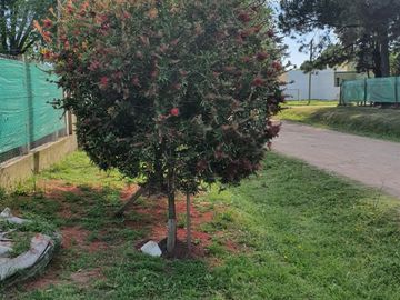 Venta Casa Económica Barrio Solares del Oeste   Gral Rodriguez