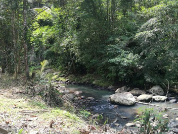 TANAH COCOK UNTUK RESORT DI WANAGIRI TABANAN