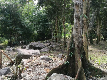 TANAH COCOK UNTUK RESORT DI WANAGIRI TABANAN