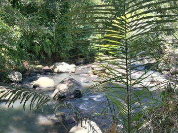 TANAH COCOK UNTUK RESORT DI WANAGIRI TABANAN