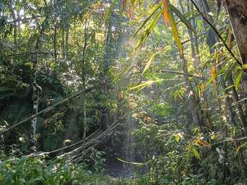 TANAH COCOK UNTUK RESORT DI WANAGIRI TABANAN