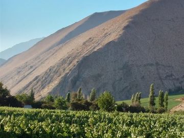 Parcela en venta en Paiguano