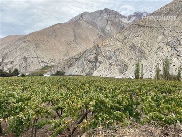 Parcela en venta en Paiguano