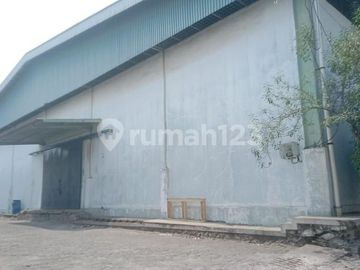 Gudang Loading Dock di Kapuk Muara Jakarta Barat