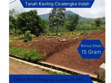 Area Pusat Kota Cicalengka Kavling 100 Jt-an