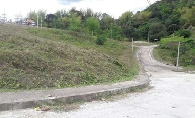 237 Sqm Corner Lot for Sale in Cebu City Pulangbato near Talamban