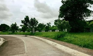 Land For Sale in Cabuyao Laguna near Nuvali,Paseo, South Forbes, Green Field, Pramana, Solen,Batangas,Tagaytay