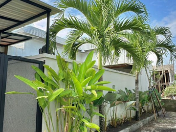 VILLA FOR RENT AT UNGASAN AREA AND VILLA COMPLEX