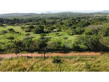 VENTA DE TERRENO EN COCLE - OLA
