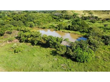 VENTA DE TERRENO EN COCLE - OLA