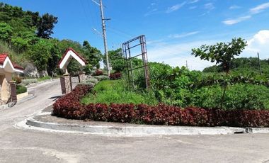 Crown Heights Compostela 150 SQM Lot for Sale in Compostela Cebu with Mountain Scenic Views