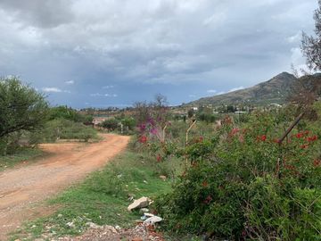 TERRENO EN VENTA LA TOMATINA AGUASCALIENTES (MAGGIE)