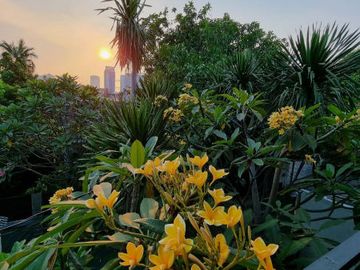 DIJUAL RUMAH MDOERN, BAGUS di Jl BANGKA KEMANG, JAKSEL