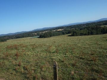 Los Lagos, buen campo lechero y ganadero