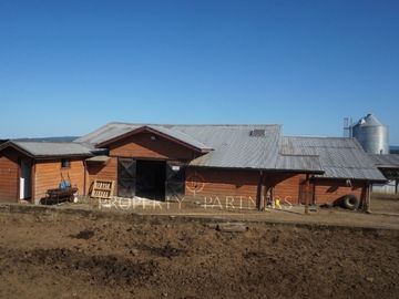 Los Lagos, buen campo lechero y ganadero