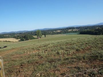 Los Lagos, buen campo lechero y ganadero