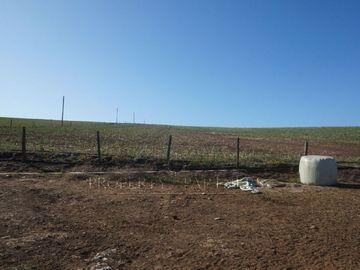 Los Lagos, buen campo lechero y ganadero