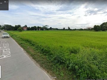 Land for sale inThailand ( Hangdong Chiangmai )