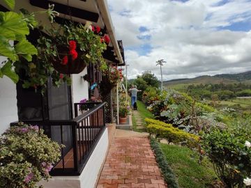 finca en venta en pavitas. Cod V13949