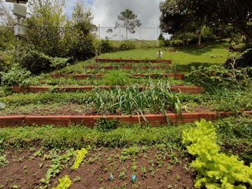 finca en venta en pavitas. Cod V13949