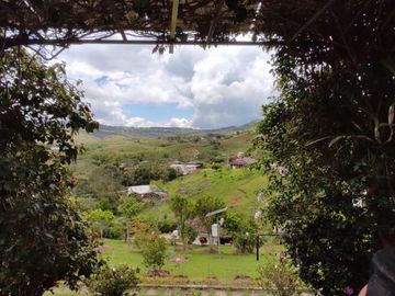 finca en venta en pavitas. Cod V13949