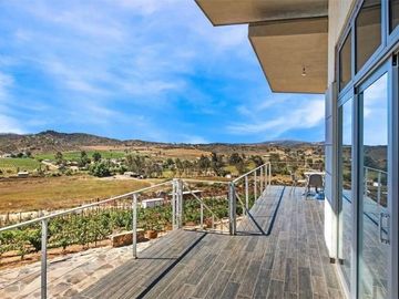 6000 m2 VIÑEDOS CON CASAS EN VALLE DE GUADALUPE