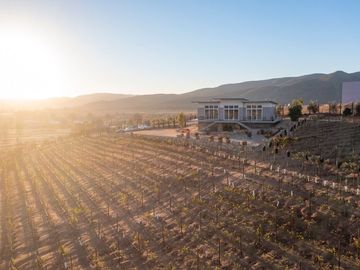 6000 m2 VIÑEDOS CON CASAS EN VALLE DE GUADALUPE